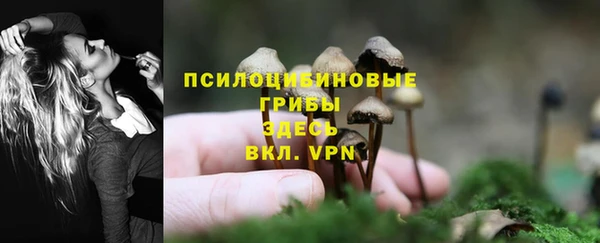 гидра Арсеньев