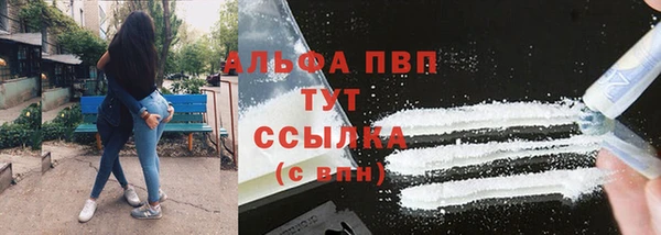 гидра Арсеньев