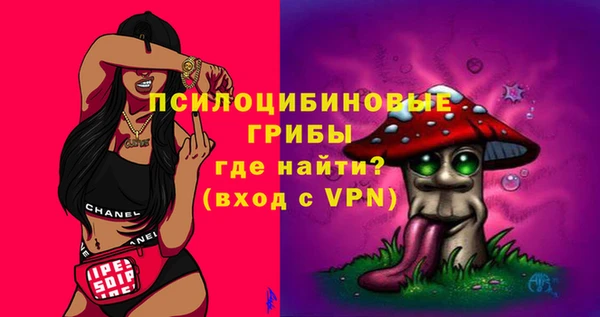 молекула духа Нефтегорск